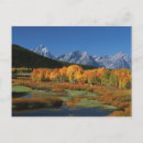 Recherche de dee posters Coude du boeuf