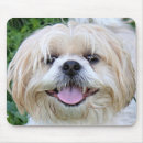 Recherche de tzu shih tapis souris Adorable