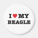 Recherche de chien beagle magnets Amour