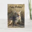 Recherche de canis vœux cartes Canines