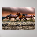 Zoek naar paarden posters Vrij