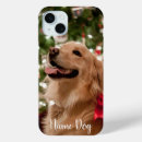 Recherche de golden retriever Récupérateur