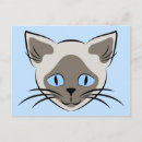 Zoek naar katten gezicht briefkaarten Katje