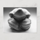 Recherche de le bouddha cartes postales Statue