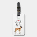 Recherche de malinois belges Chien de berger belge
