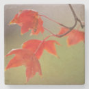 Zoek naar herfst onderzetters Esdoorn