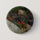 Recherche de feuille de pot accessoires Fleurs