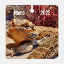 Recherche de lézards ornements Gecko