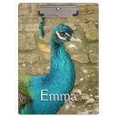 Zoek naar natuur fotografie Vogel