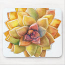 Recherche de aride tapis souris Cactus