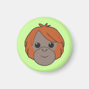 Recherche de sumatra magnets Orang outan