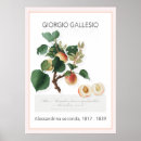 Zoek naar botanische illustraties posters Klassiek