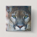 Recherche de pumas badges Zoo