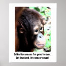 Recherche de extinction posters Conservation