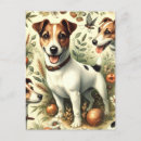 Recherche de russel cartes postales Jack russell terrier