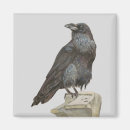 Zoek naar trucs magneten Halloween