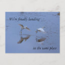 Recherche de oiseaux en vol invitations Toute personne