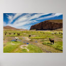 Zoek naar altiplano posters Bolivia