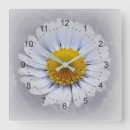 Recherche de marguerite blanche horloges Marguerie