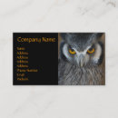 Recherche de hibou blanc cartes visite Oiseau