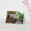 Zoek naar slaap hond kaarten Honden