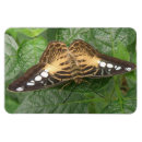 Recherche de joli papillon magnets Beau