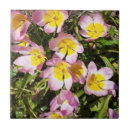 Zoek naar roze bloemen tegels Botanisch