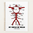Recherche de circulation sanguine Anatomie