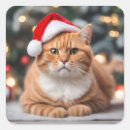 Recherche de noël chat autocollants British shorthair