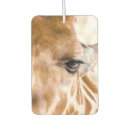Recherche de zoo voiture accessoires Girafe