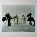 Zoek naar orkanen posters Storm