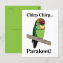 Recherche de perruche cartes postales Bougie