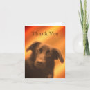 Recherche de labrador noir vœux cartes Animal