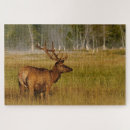 Recherche de wapiti puzzles Cervus canadensis