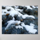 Zoek naar sneeuw posters Groen