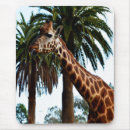 Recherche de framboise tapis souris Nature