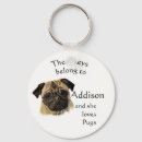 Recherche de pug dog Dogs