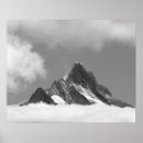 Zoek naar massief posters Zomer