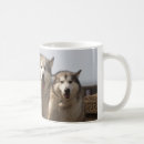Recherche de enroué tasses Malamute
