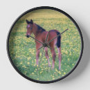 Recherche de colt horloges Cheval