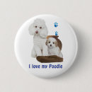 Recherche de caniche standard badges Animaux