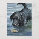 Zoek naar labrador retriever briefkaarten Rekker