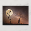 Recherche de saguaro cartes postales Lune