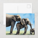 Zoek naar leuke olifanten briefkaarten Safari