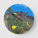 Recherche de cactus saguaro horloges Parc national de saguaro