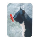 Recherche de chat dans le magnets Animaux