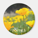 Recherche de coquelicots magnets Fleurs de coquelicot