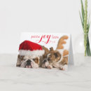 Recherche de anglais bouledogue noël cartes Animal