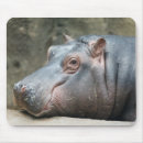 Recherche de hippopotames tapis souris Drôle