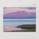 Recherche de kirghizistan cartes postales Paysage